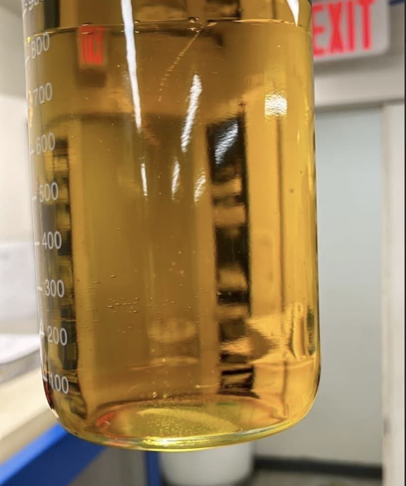 Golden cannabis distillate in graduated beaker — Waseca MN cannabis extraction facility