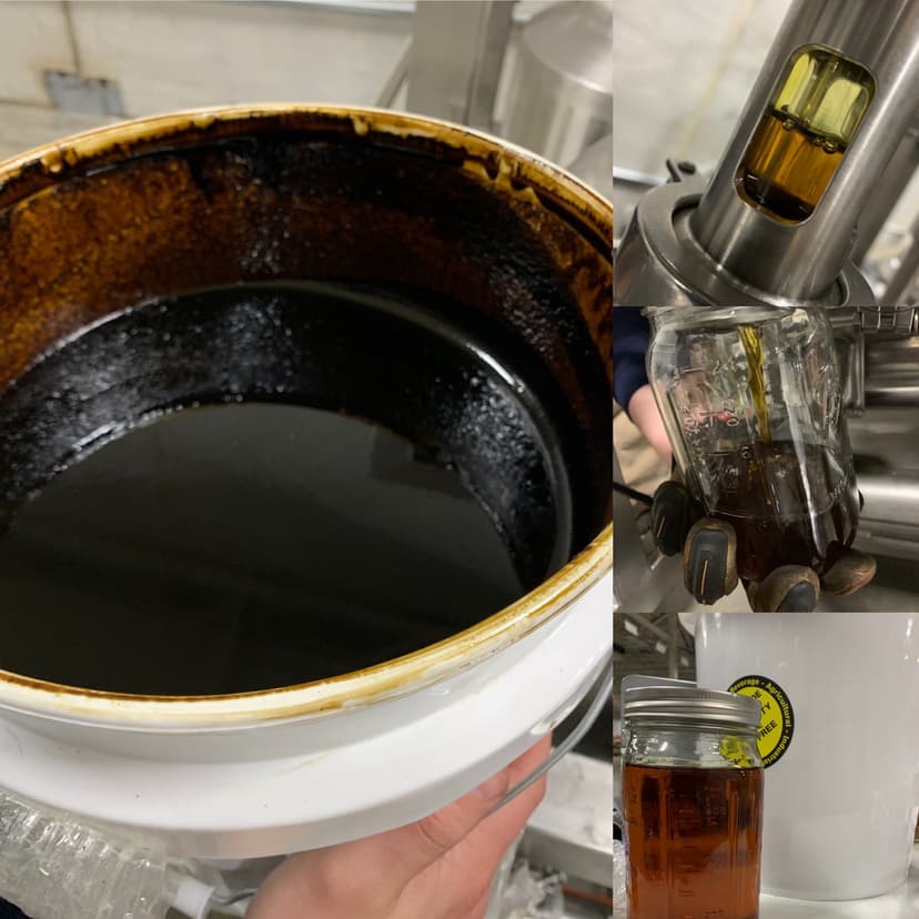 BSD Labs crude oil to distillation process — Waseca MN cannabis extraction facility